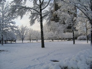 A park with several inches of snow on the ground and the trees covered with frost and snow.