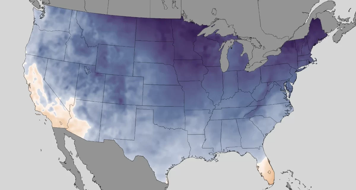 Generator Safety During Winter Storm Power Outages