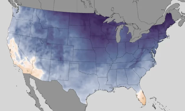 Generator Safety During Winter Storm Power Outages