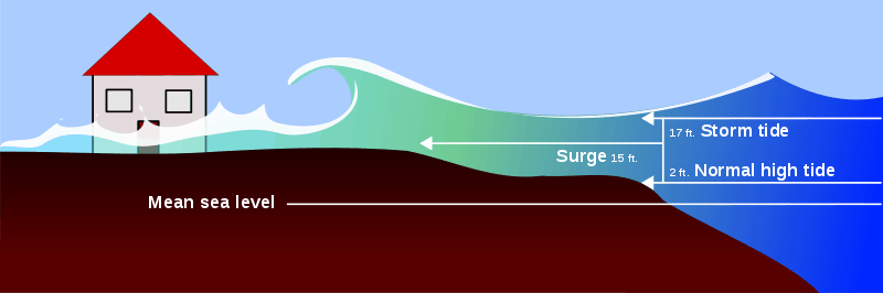 Storm Surge Graphic showing normal high tide level, storm surge level, and storm tide level.