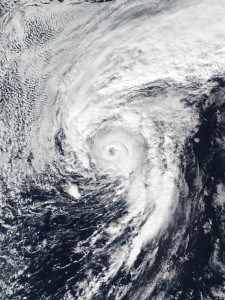 Hurricane Alex Satellite Image