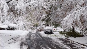Ice and snow with downed trees and powerl lines following a Nor'Easter