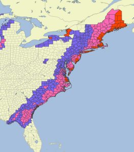 Florida to Maine Forecast Area for Winter Storm Grayson