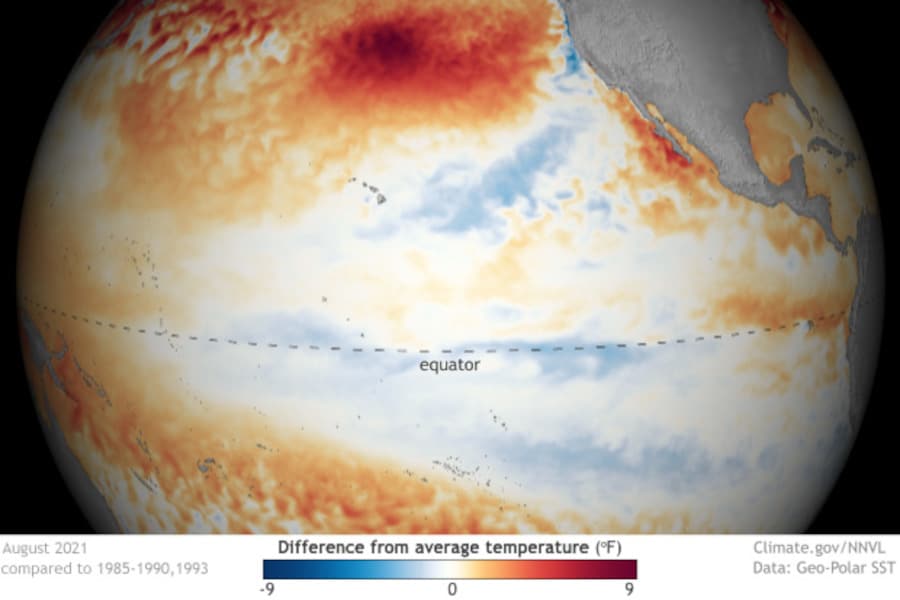 Surface sea temperatures in the eastern equatorial Pacific show cooling below averages in August 2021. NOAA Graphic