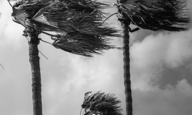 5 Steps to Hurricane Prep-Stay Protected