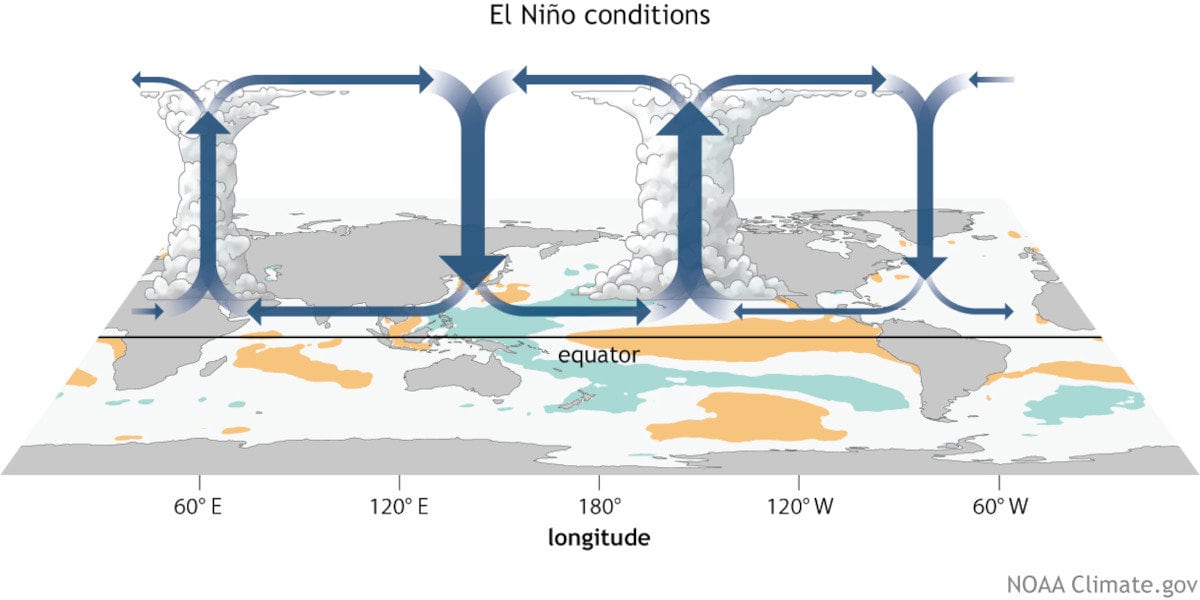 El Niño Walker Circulation. Warm, moist air from east and west rises over the ENSO Pacific Ocean Region and sinks over the Tropical Atlantic