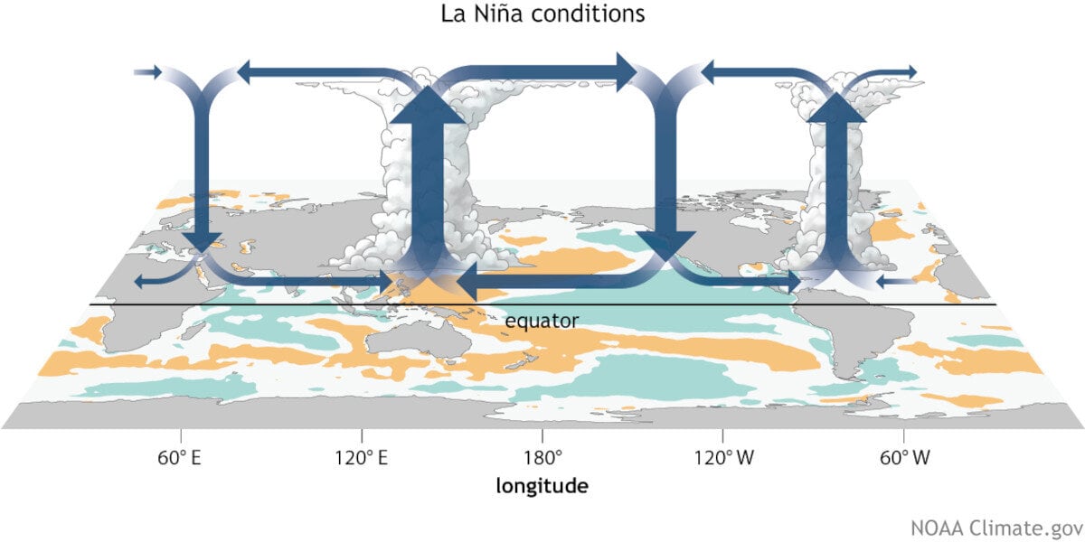 La Niña Walker Circulation. The rising columns of air over Pacific Asia and the Tropical Atlantic are much stronger than Neutral Conditions.