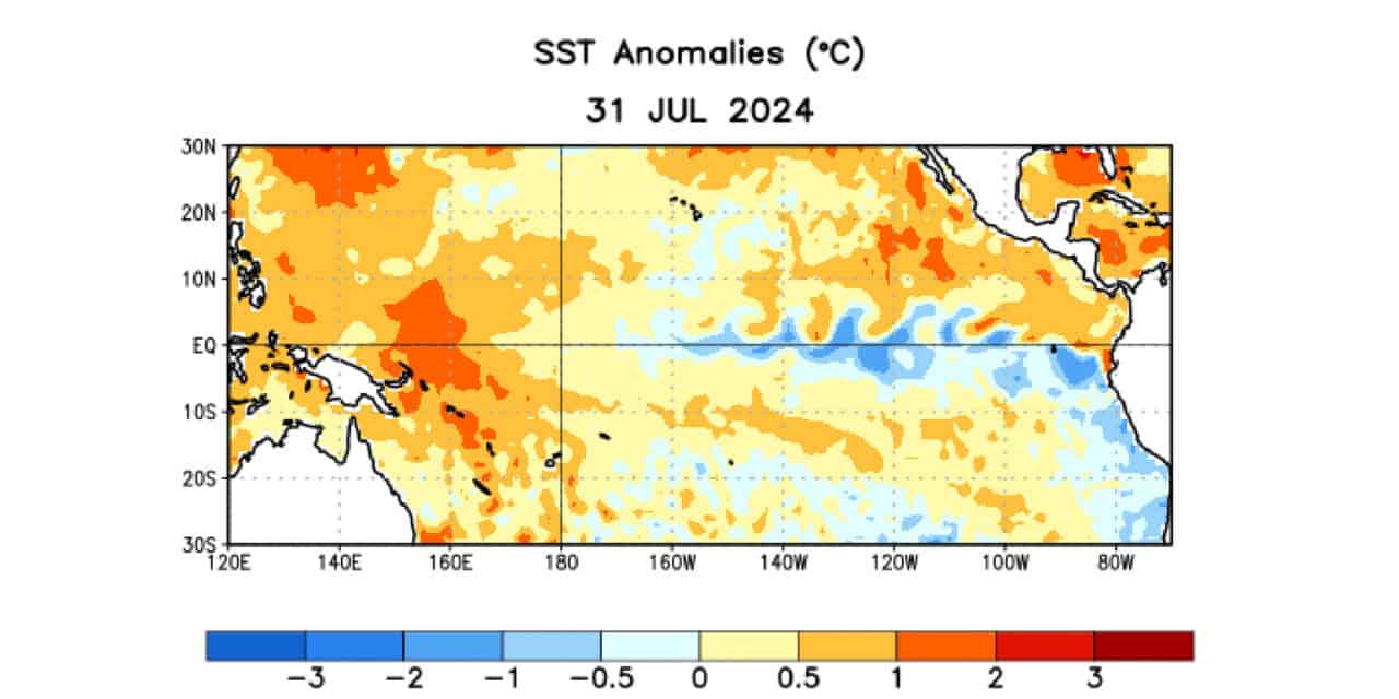 2024 Hurricane Season Update: La Niña Probable